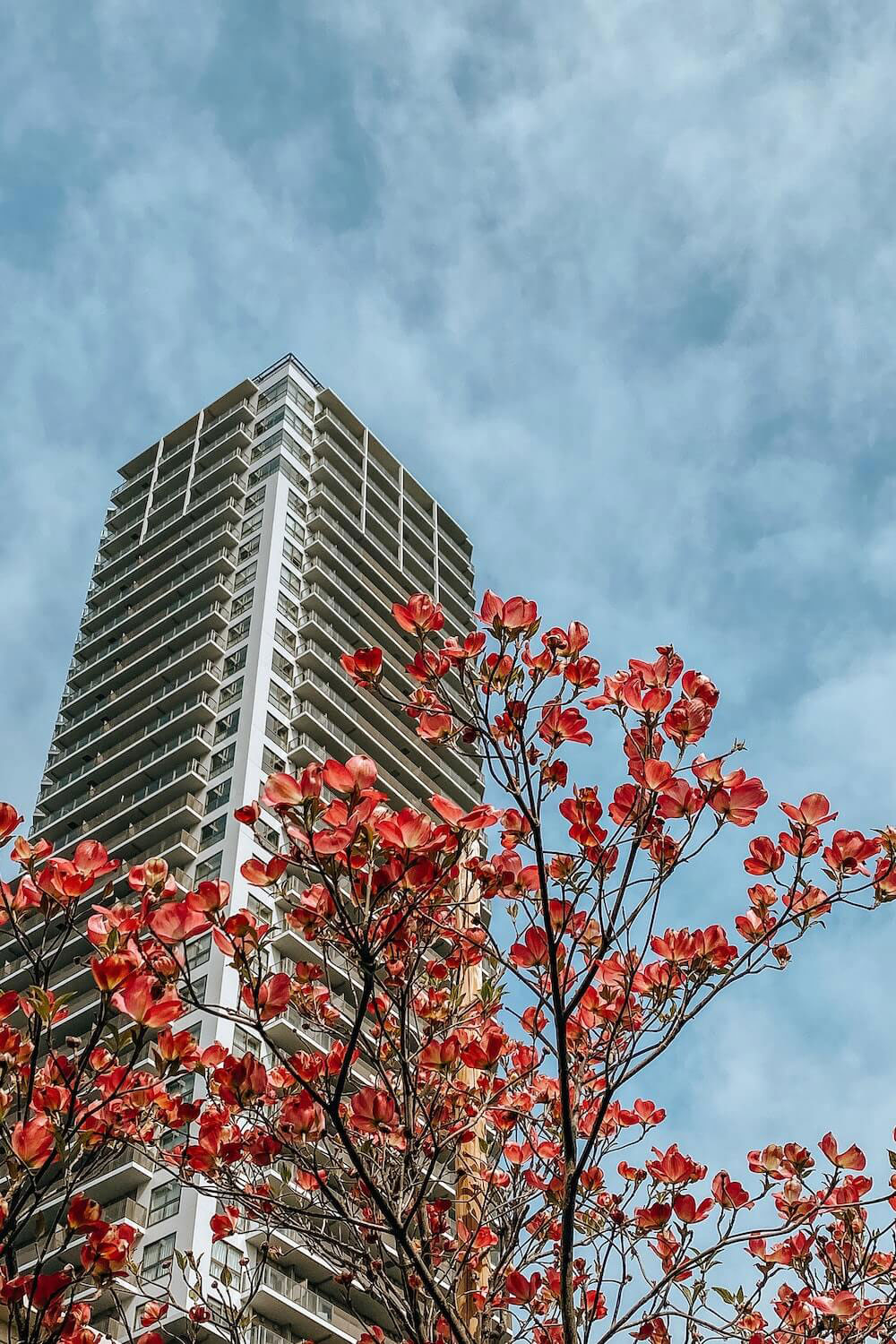 A tall skyscraper with red flowers blooming at its base against a clear blue sky.