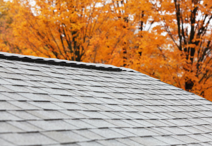 The image shows a close-up view of a gray shingle roof with visible seams against an autumnal backdrop featuring vibrant orange leaves on trees, suggesting the season is fall.
